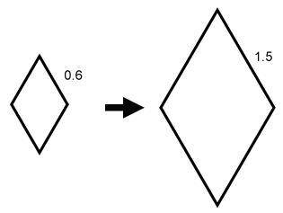 The first figure is dilated to form the second figure.

Which statement is true?
Question 1 option