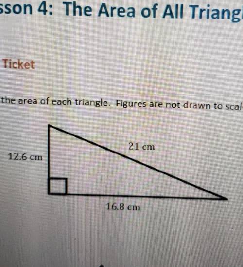 Help with area of the triangle ​