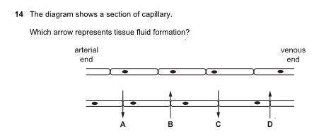 Could some please tell and explain the answer for this MCQ?