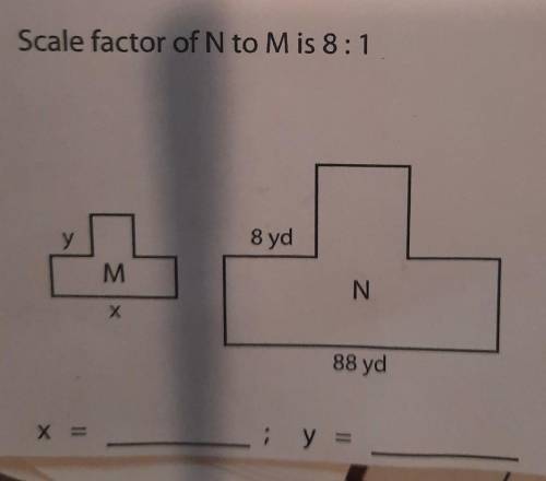 What is x and y. help plz​