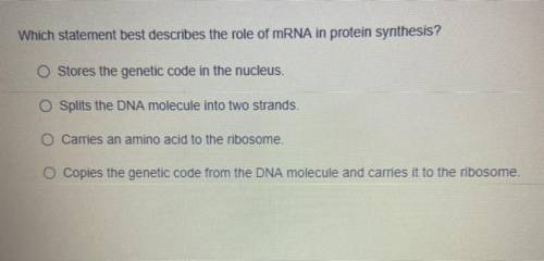 Which statement best describes the role of mRNA in protein synthesis?