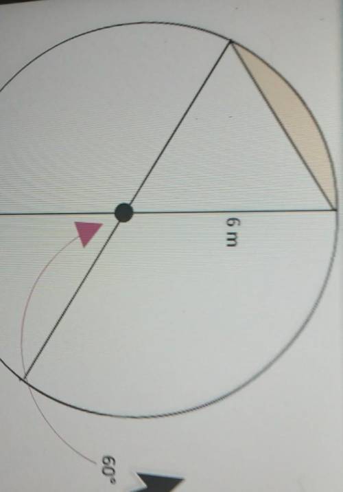 1. Find the area of the shaded segment. Round your answer to the nearest square meter. ​