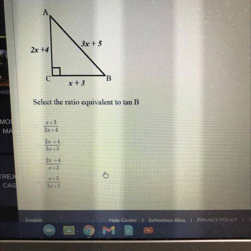 HELP PLEASE :/ not too good in geometry sadly