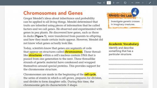 Read the attached text on chromosomes and inheritance.

SUMMARIZE each section in 20 WORDS or LESS