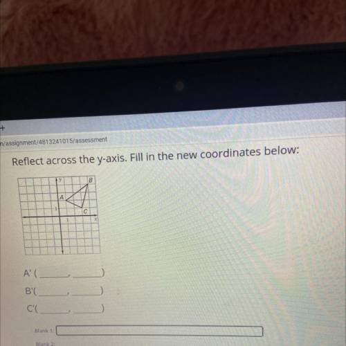 Reflect across the y-axis. Fill in the new coordinates below: