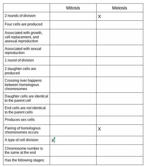 Mitosis vs meiosis it is should be easy I need it done ASAP thx