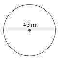 Find the circumference of the circle. Round to the nearest tenth if necessary.

A. 21 m
B. 66 m
C.