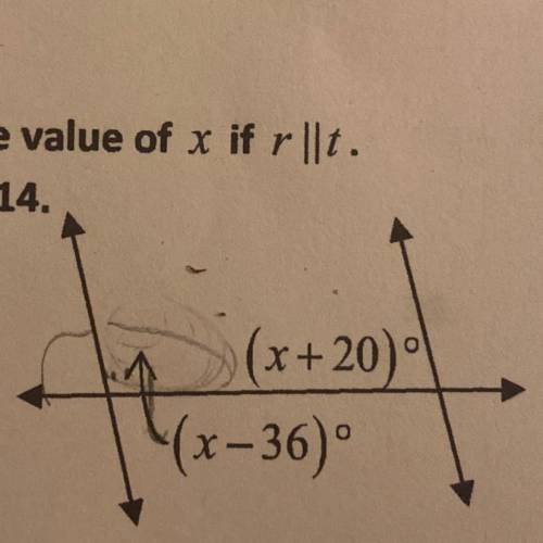 (X/36) and (x+20) please help!