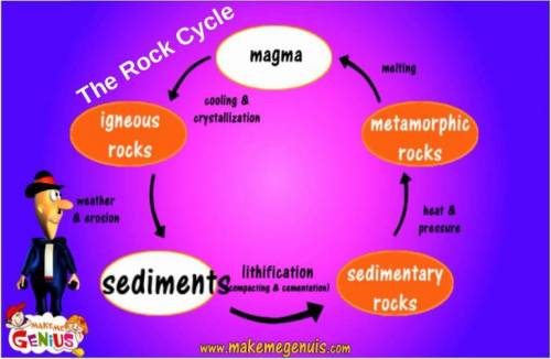 In a paragraph, describe the Rock Cycle starting with sediments. Be detailed and use full, complete