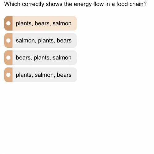 Which answer is correct? (don’t mind the orange colored part i accidentally clicked it)