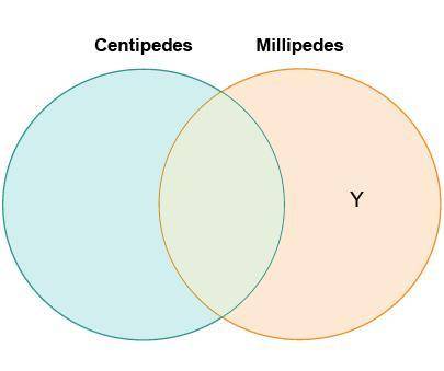 Jan drew a diagram to compare centipedes and millipedes. Which belongs in the area labeled Y?

are