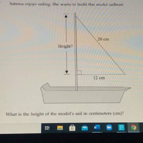 What is the height of the models snail in centimeters (cm)?