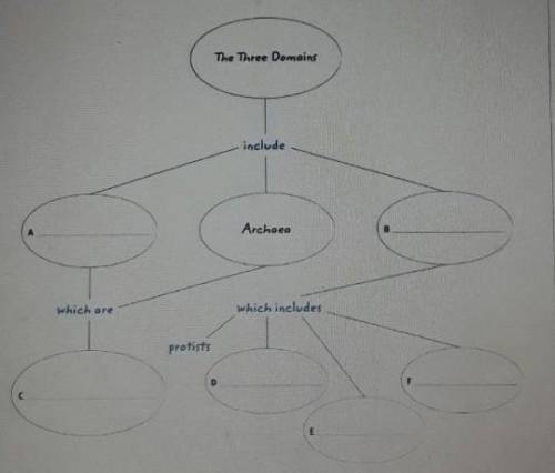 Fill in the concept map below.​