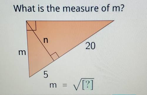 Can someone help me with this problem? ​