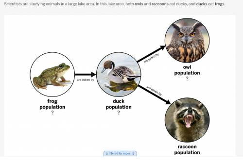 Can someone tell me if this is right for brainliest
(fixed)