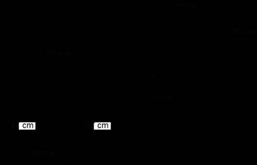 1. The picture shows a feeding trough that is shaped like a right prism.

(a) Surface A and B are