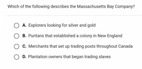 Which of the following describes the Massachusetts Bay Company?​