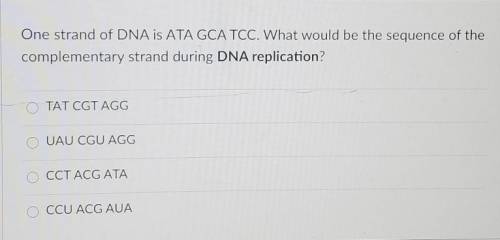 What is the sequence ? ​