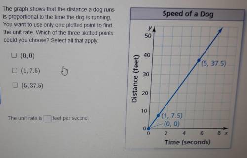 The graph shows that the distance a dog runs is proportional to the time the dog is running. You wa