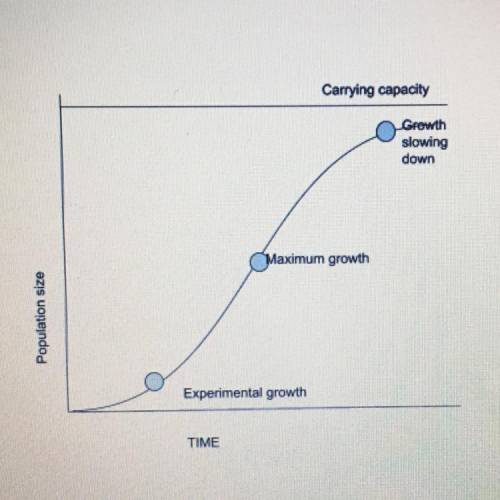 C) What are the conditions for exponential growth? (1 point)