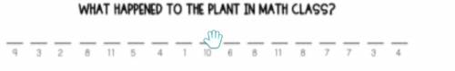 What happened to the plant in math class?