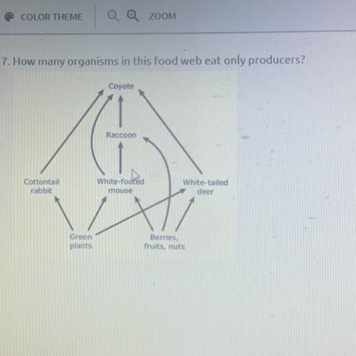 How Many Organisms In This Food Web Only Eat Producers?