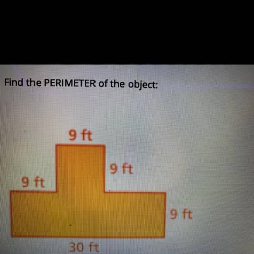 Find the perimeter of the object