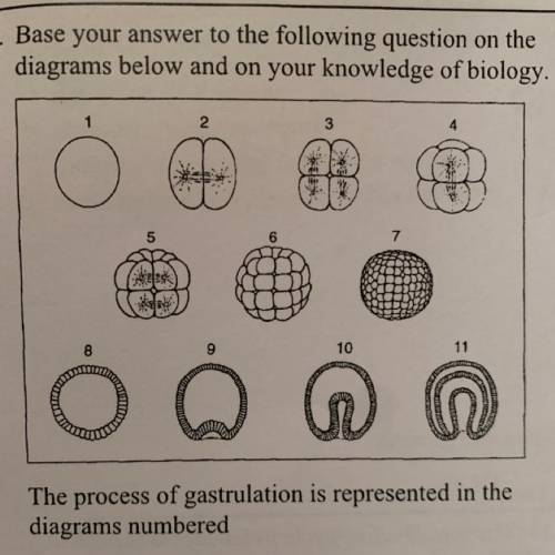 The process of gastrulation is represented in the diagrams numbered...

A) 1 and 2
B) 3 and 4
C) 5