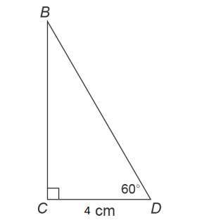 50 POINTS

What is the area of triangle BCD to the nearest tenth of a square centimeter? Use
