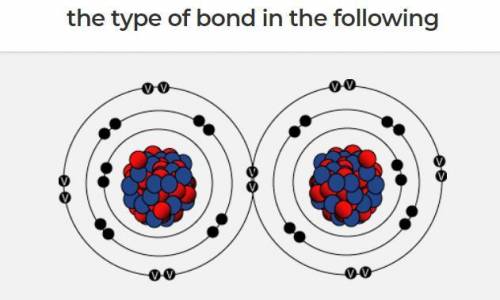 Help, please :)

What type of bond is being shown here?
A. Single covalent
B. Double covalent
C. T