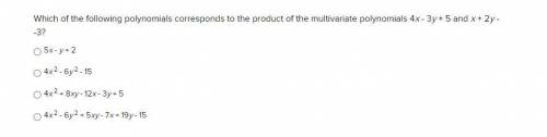 Which of the following polynomials corresponds to the product of the multivariate polynomials 4x -