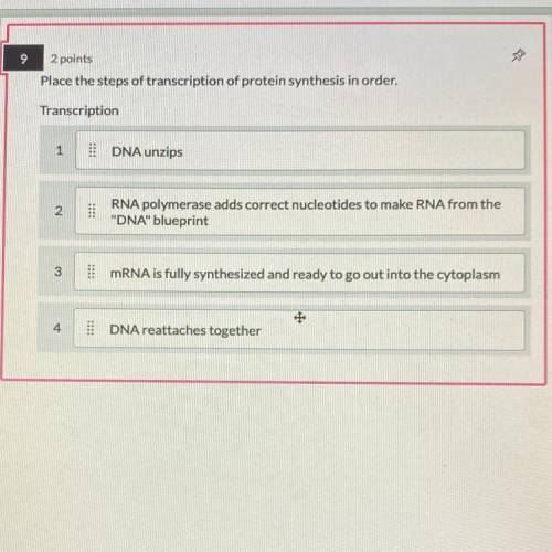 Transcription

1
DNA unzips
2
RNA polymerase adds correct nucleotides to make RNA from the
DNA b