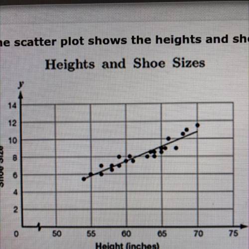 The scatter plot shows the heights and shoe sizes of some students.

Heights and Shoe Sizes
12
10