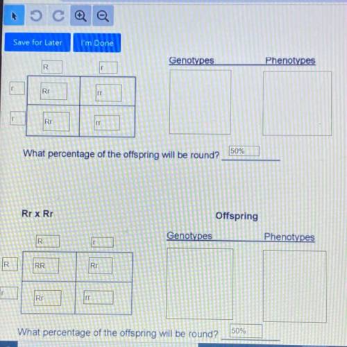 Please help with the genotypes and phenotypes for both questions