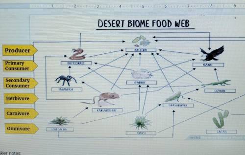 I need to know the producer primary Consumer secondary Consumer herbivore carnivor and omnivore​
