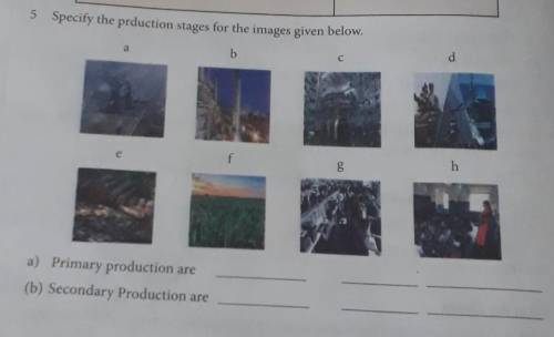 5 Specify the prduction stages for the images given below.

a) Primary production are(b) Secondary