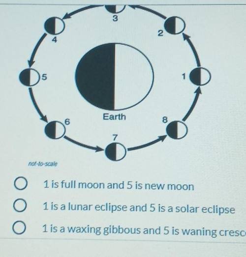 What moon phase would be at positions 1 and 5?

A. 1 full moon and 5 is new moon.B. 1 is a lunar e