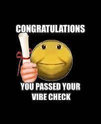 Congrats! You passed the vibe check