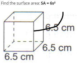 Pls solve this for me