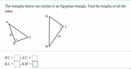 Could i have some help on this problem please?