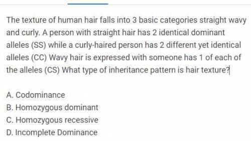 The texture of human hair falls into 3 basic categories straight wavy and curly. A person with stra