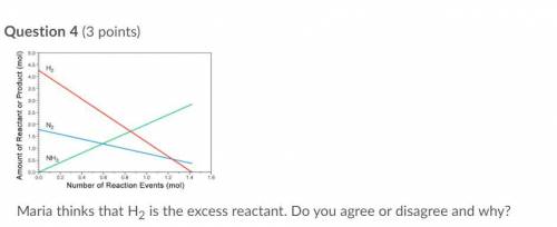 Maria thinks that H2 is the excess reactant. Do you agree or disagree and why?