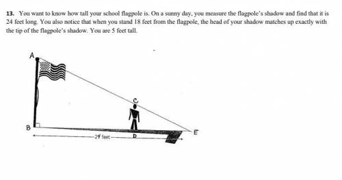 I NEED HELP ASAP You want to know how tall your school flagpole is. On a