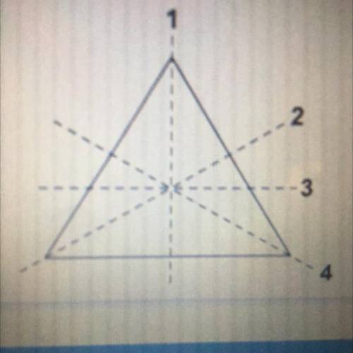 Which is NOT a line of symmetry (please help)