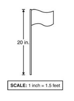 Grades due friday pls help! :)

The height of a model flagpole is shown.
[picture connected]
What