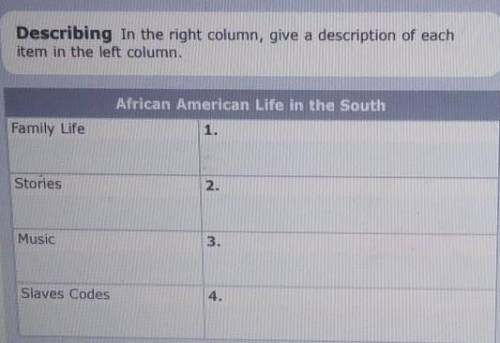 Describing in the right column, give a description of each item in the left column. African America