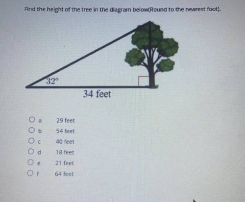 PLEASE HELP ME

Find the height of the tree in the diagram below(Round to t