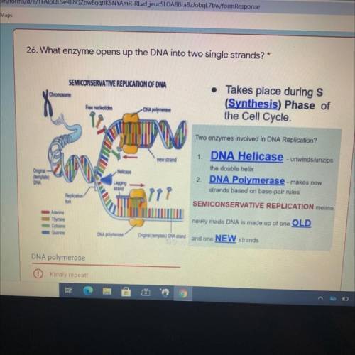 PLEASE HELP AM HAVING A MENTAL Breakdown!!!

What enzyme opens up in the DNA into two single stran