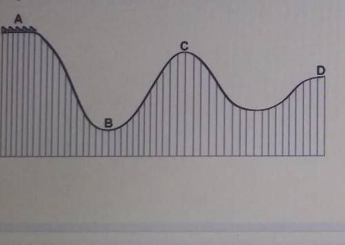 The question is at which point would a rollercoaster car have the least potential energy​science