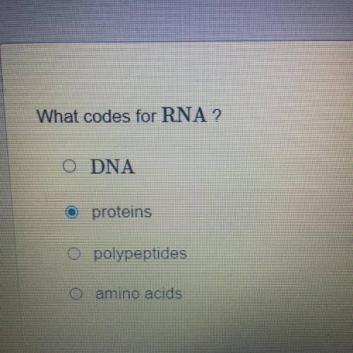 What codes for RNA 
plz help